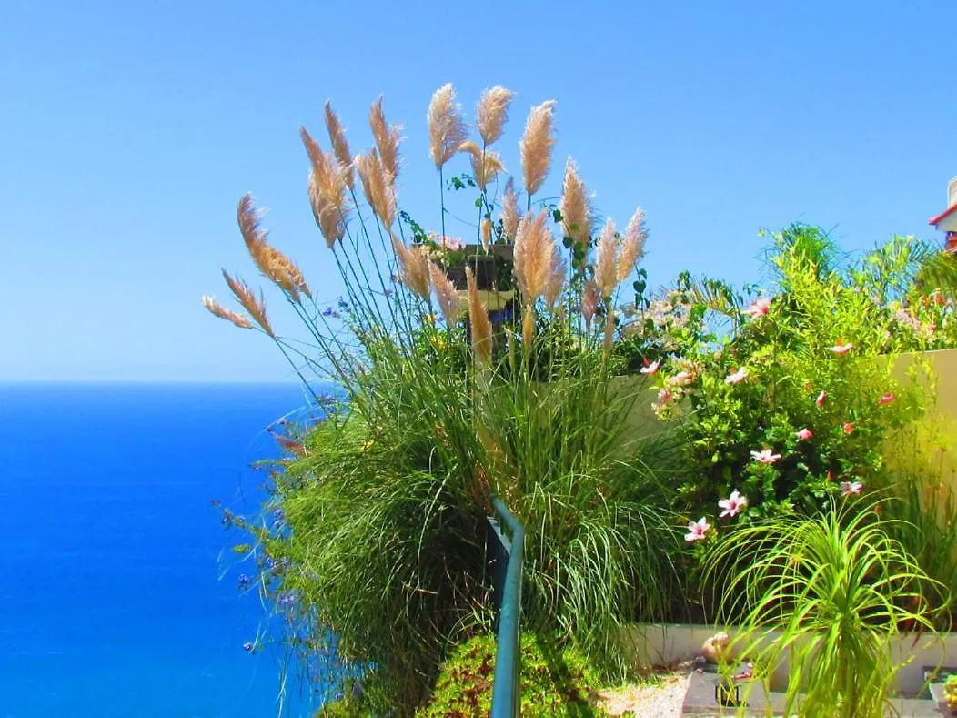 Casa Serena Apartments Arco da Calheta